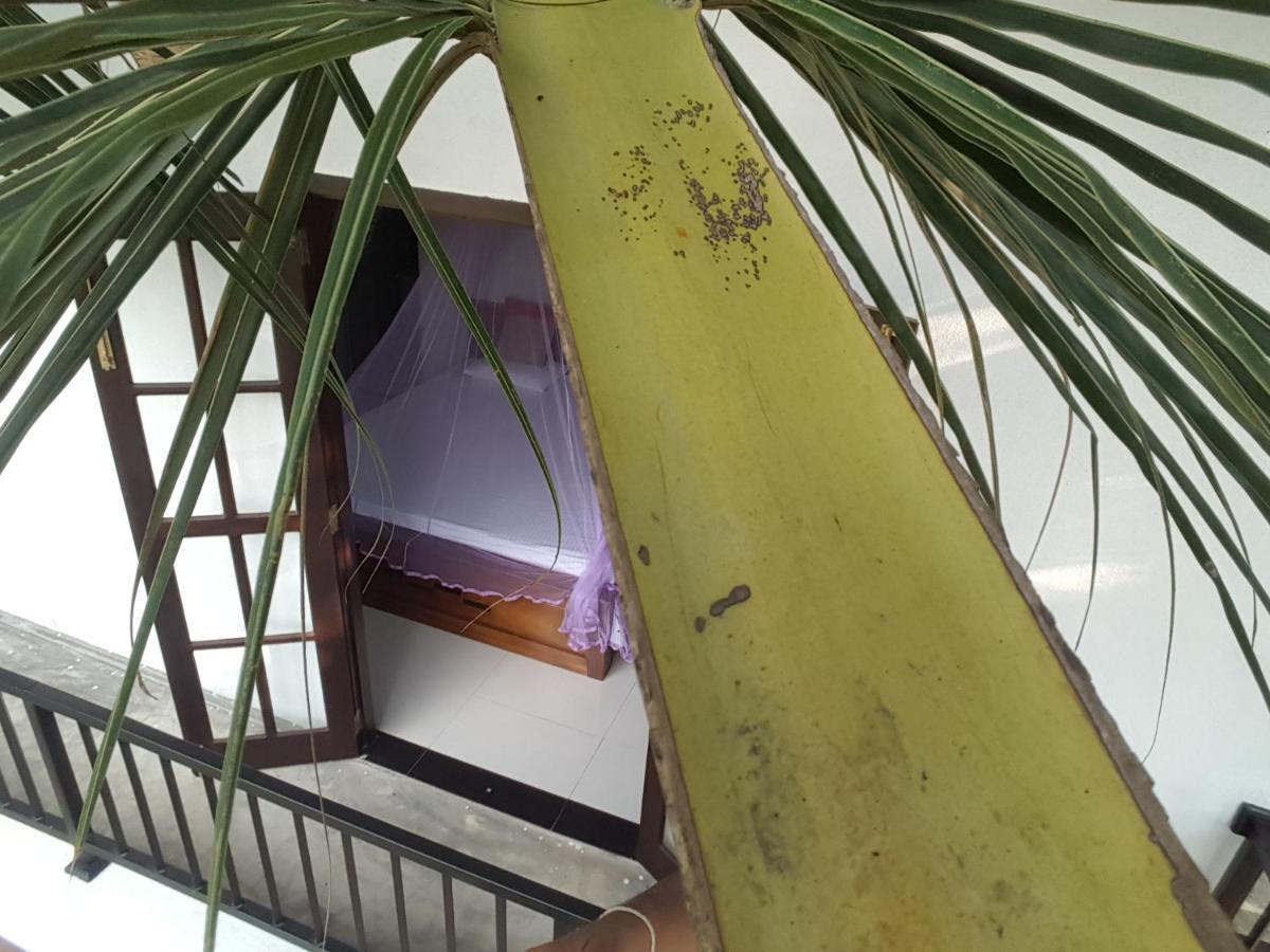 Coco Rooms Galle Ngoại thất bức ảnh